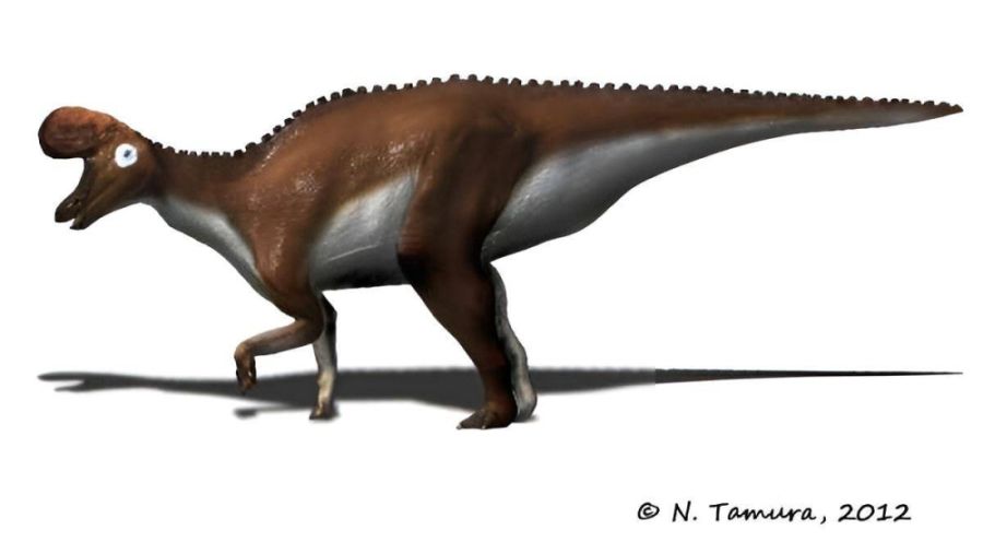 Lambeosaurus_magnicristatus NT